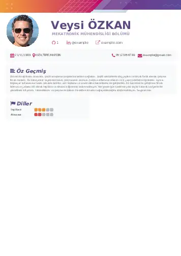 cv indir